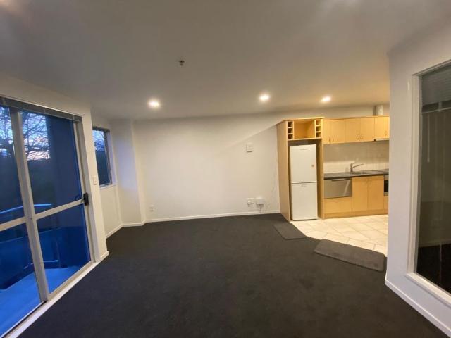 Bright & Sunny 1 Bedroom Apartment