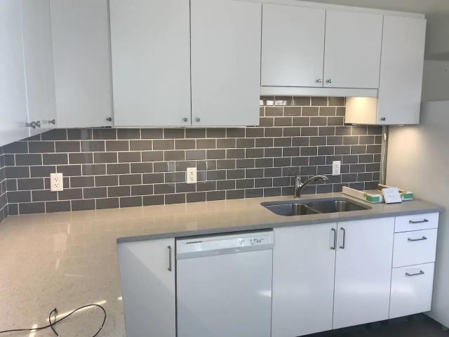 Bright, Sunny, Quiet Legal Lower Suite including Garage