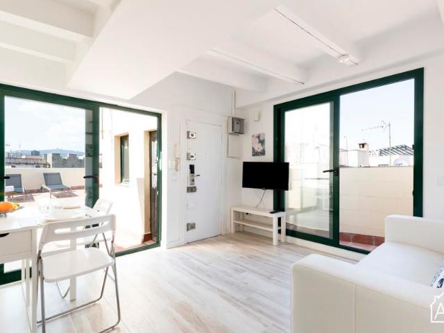 Bright Penthouse with Private Terrace on Passeig del Born