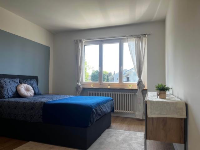 Bright, Renovated Apartment Ideal for Young Professionals