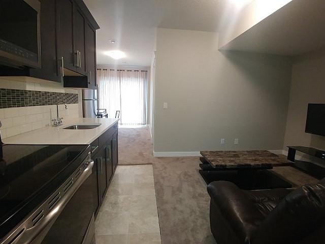 Bright Walkout Basement apartment like In Evanston