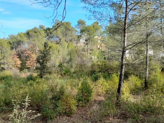 Brignoles Vente Terrain 83