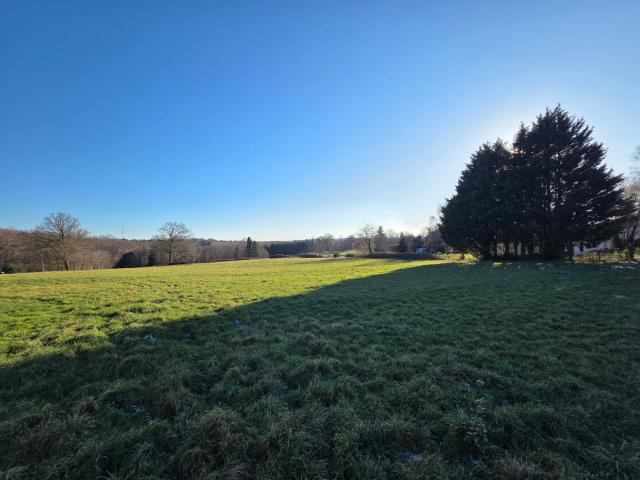 Brigueuil Vente Terrain 16