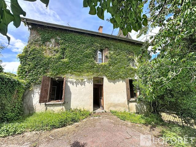 Brion Vente Maison 38