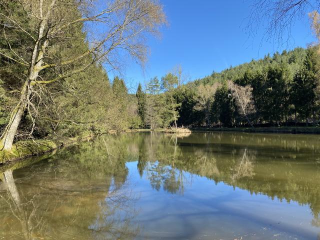 Bruyères Vente Terrain 88