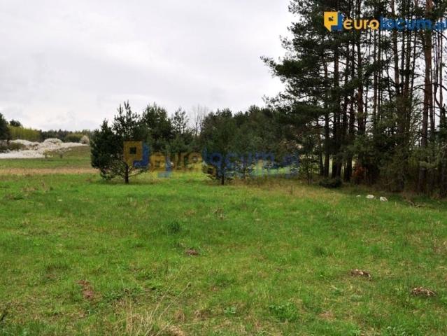 Brudzów 1 503 m², Brudzów
