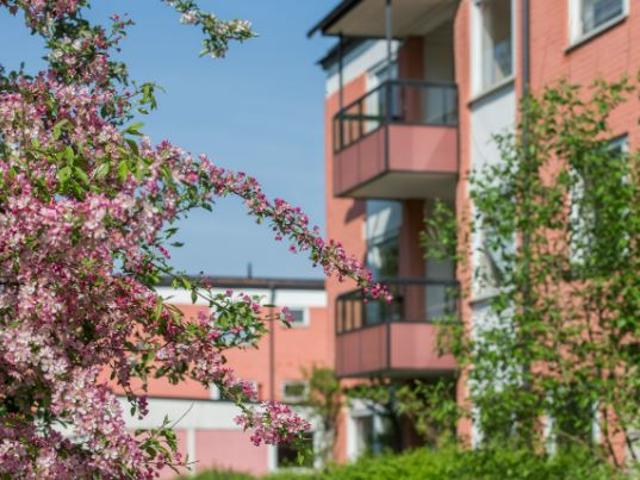 Bruno Liljeforsgatan 37