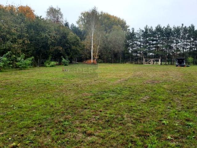 Brzegowa 2 201 m², Łomianki