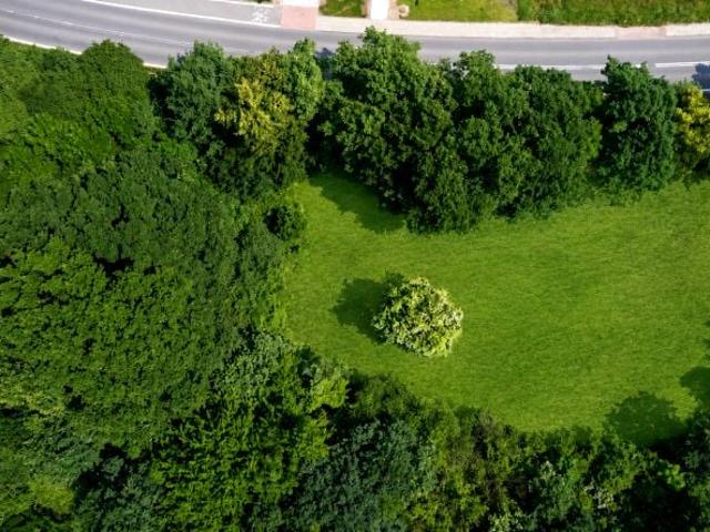 Brzeska 1 401 m², Racibórz