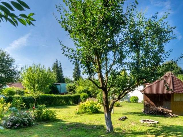 Brzeska 447 m², Racibórz