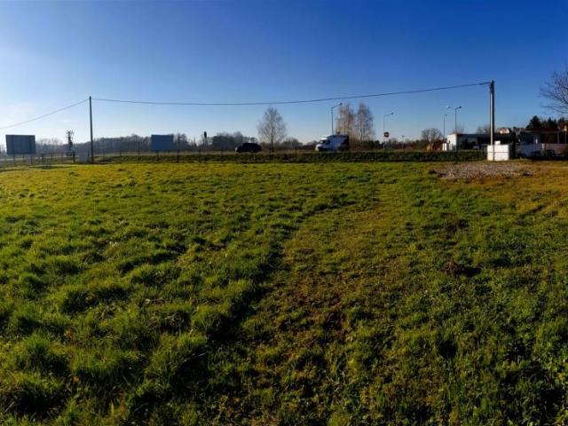 Brzeska 6 000 m², Niepołomice