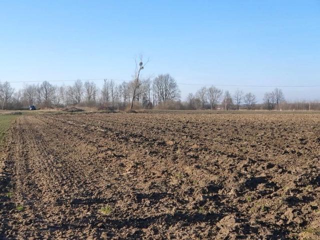 Brzeska 9 900 m², Lubsza