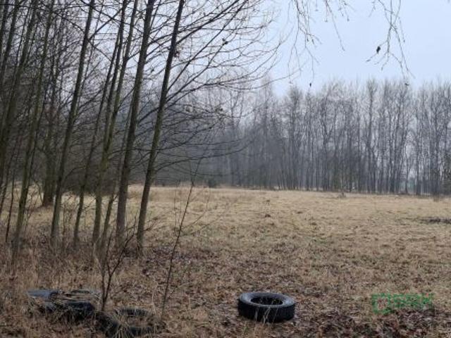 Brzeszcze, ul. Graniczna, 121847 m² Działka