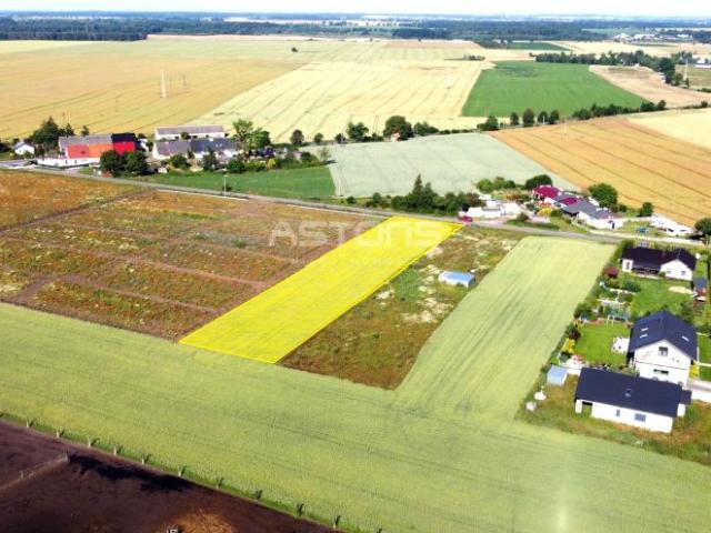 Brzezno 3 006 m², Tarnowo Podgórne