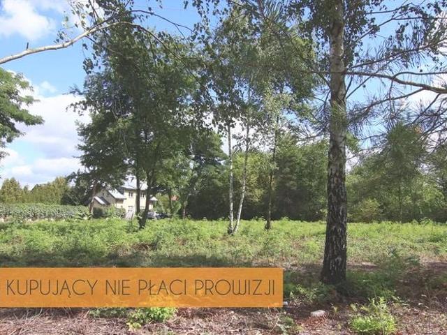 Brzozowa 910 m², Nieporęt