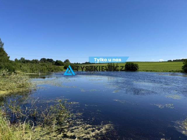 Brzozowa 16 877 m², Łapino Kartuskie