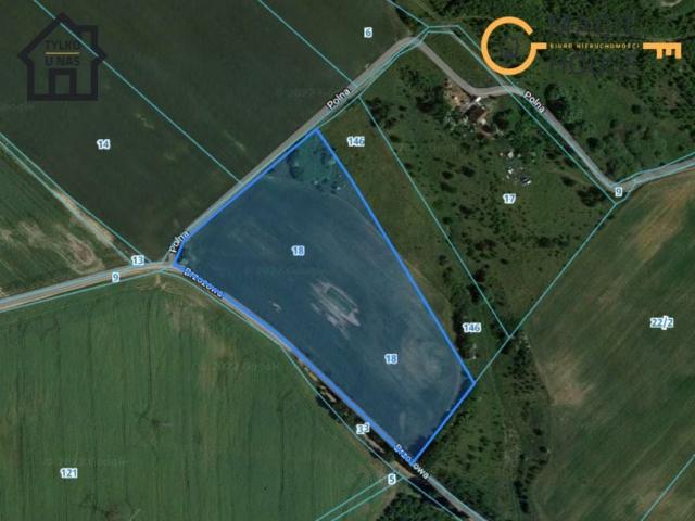 Brzozowa 29 800 m², Kłodawa