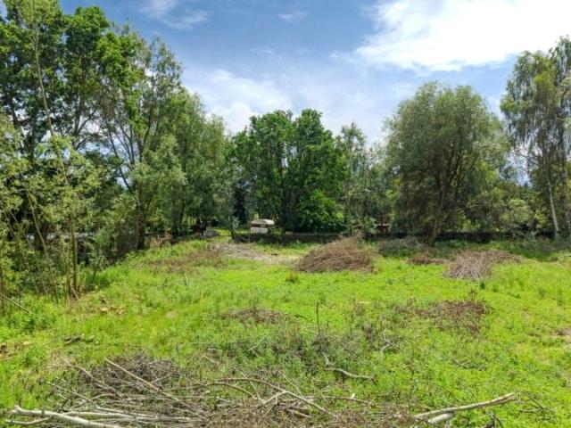 Brzozowa 2 358 m², Przyszowice