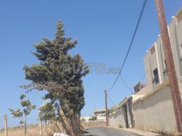 بونبار طنجة