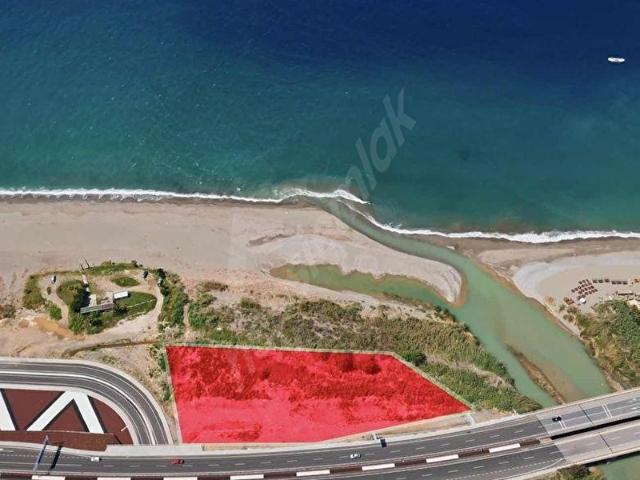 BU FIRSAT HER ZAMAN GELMEZ