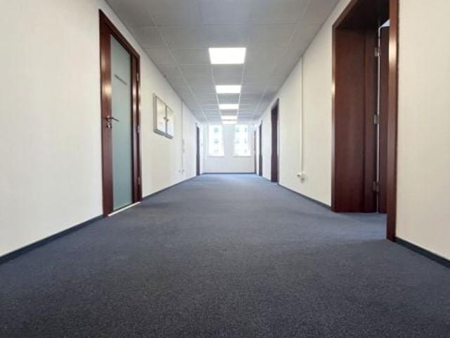 Bułgarska 147,38 m², Poznań