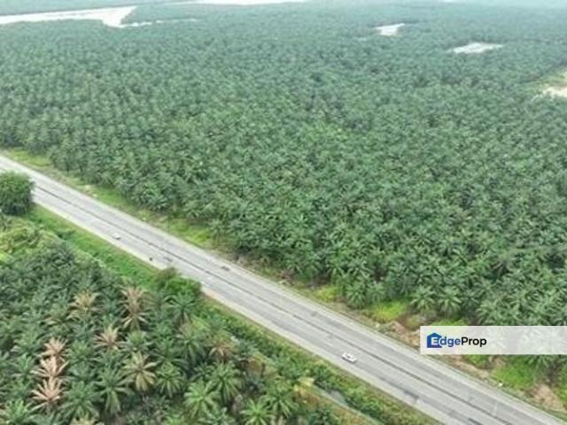 Bumi Lot For Bumiputera Buyer only Bukit Changgang, Tanjong Dua Belas, Banting, Selangor