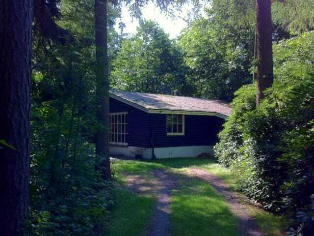 Bungalow, vrijstaande woning te huur in Bergentheim