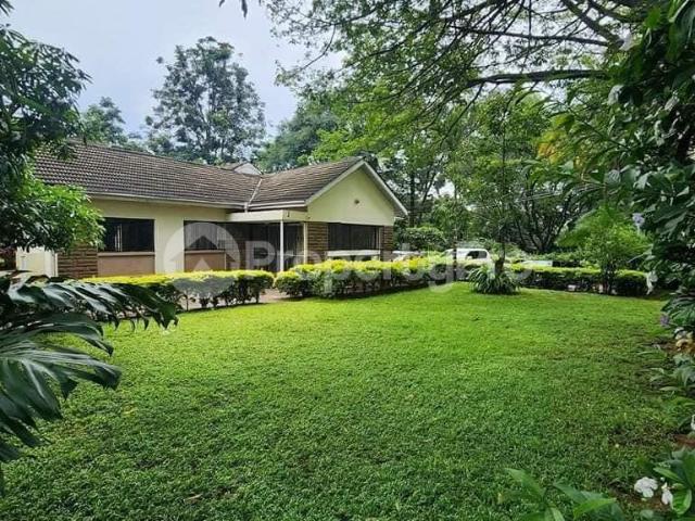 Bungalow Houses for rent Ngong Rd Nairobi PID: 5BAAU | PropertyPro