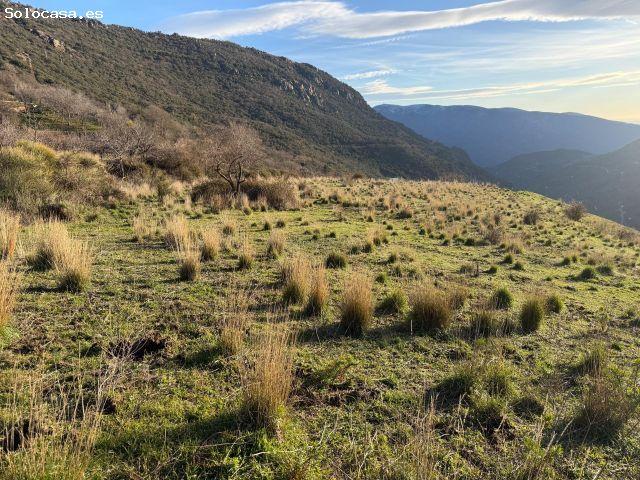Bubión. Finca rústica en la vega a solo 100 metros del municipio
