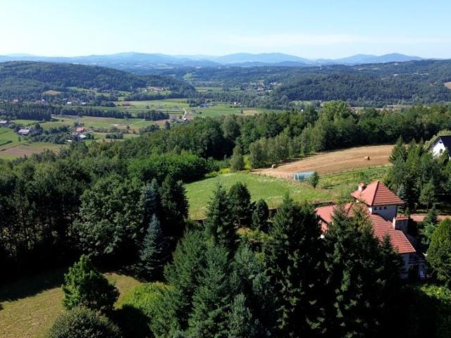 Buczyna 3 400 m², Buczyna