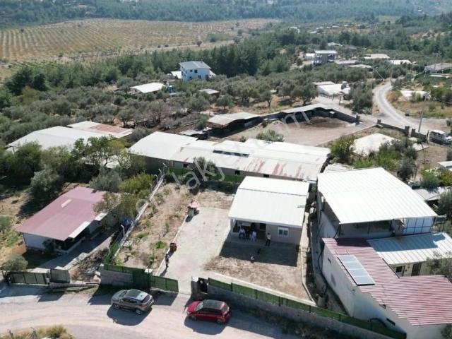 Buca Belenbaşı`nda 600 M2 Arsa İçinde Satılık 2+1 Müstakil Ev