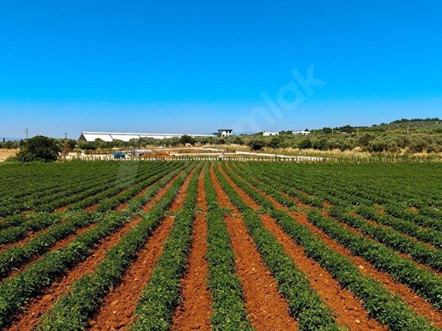 Buca Karacaağaç'ta 2879 M2 Yol Cepheli,Geleceği Değerlenen Arazi