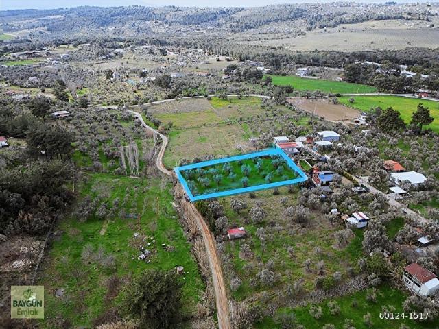 Buca Karacaağaç Satılık Müstakil Parsel Tarla Bağ 1590m2