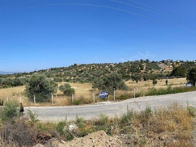 Buca kaynaklar satılık 7,680m2 tek tapu tarla