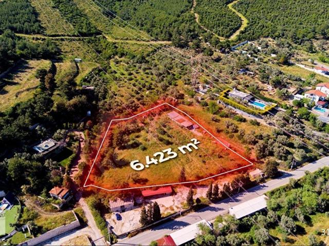 Buca Kaynaklar'da Satılık Zeytinlik Yatırımlık Fırsat