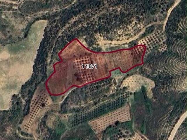 BUCAKŞEHLERDE 1850 M2 SATILIK TARLA HİSSE ORANI AYRILMIŞ