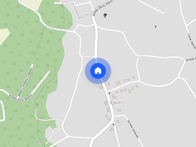 Bucium, locuinta moderna P+E, terasa, disponibila imediat