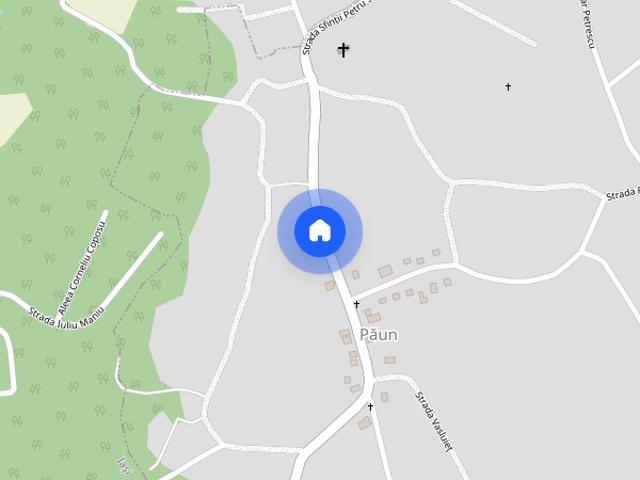 Bucium, locuinta moderna P+E, terasa, disponibila imediat