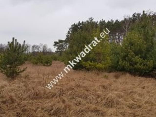 Budy Iłowskie, Mega oferta zadzwoń warto zobaczyć!, 25000 m² Działka