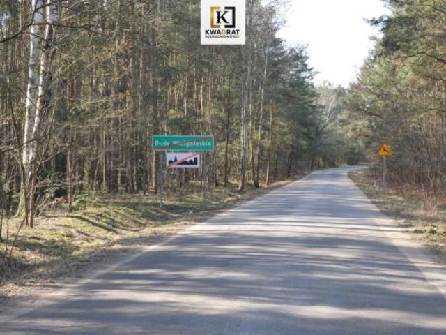 Budy Wielgoleskie, 2500 m² Działka