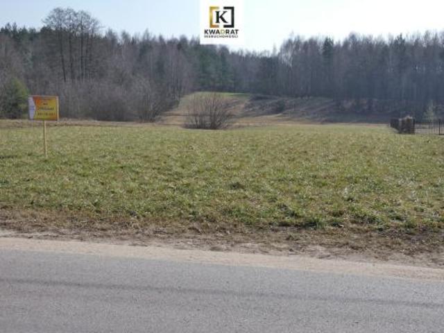 Budy Wielgoleskie, 3600 m² Działka