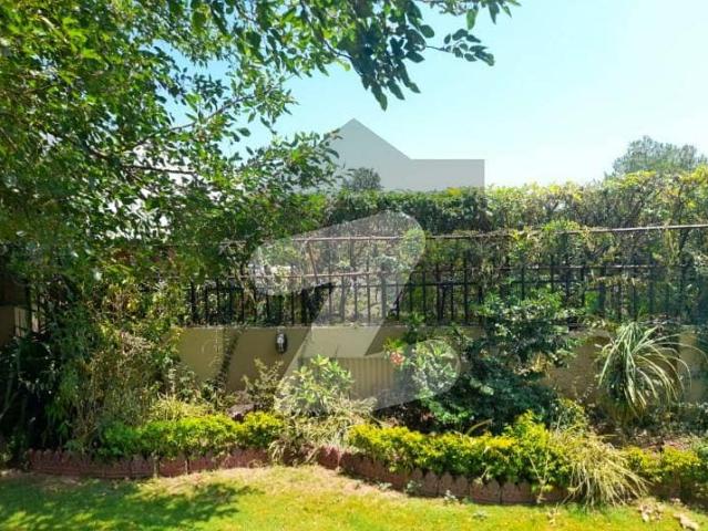 Budget Friendly Old Livable House For Sale In Prime Area F 6