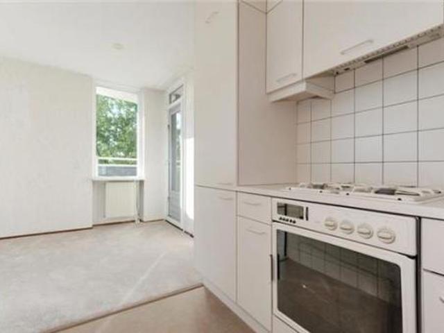 Buizerdlaan 2623 Delft