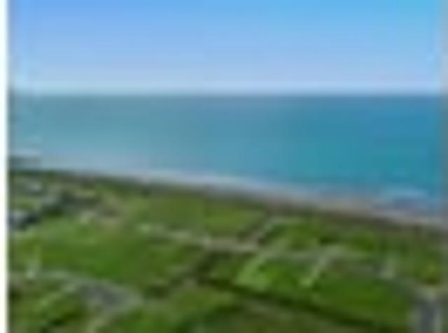 Build Your Coastal Dream at Waiotahe Dunes