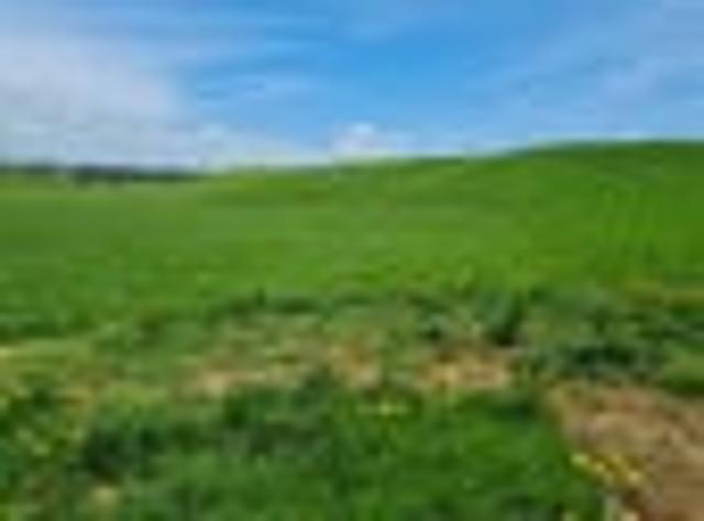 BUILD YOUR DREAM HERE!