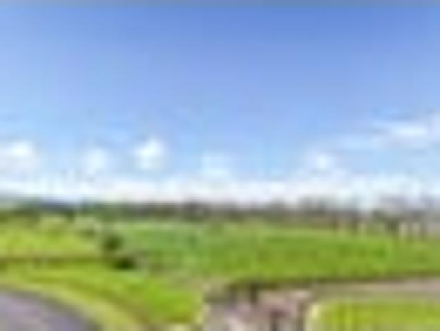 Build your dream home