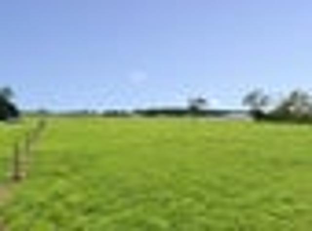 Build your dream home in Ohau