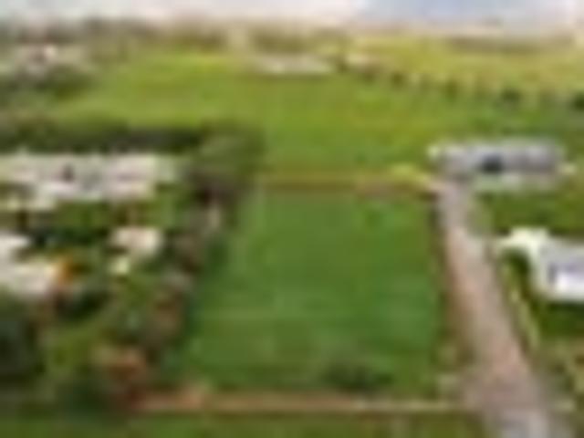 Build Your Dream Home on This Sunny Ohau Section