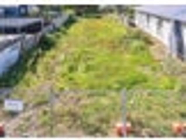 Build your dream home or investment property