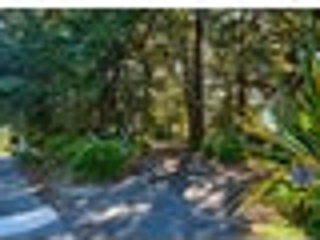 Build your dream in Silverstream
